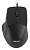 Мышь Acer OMW130 черный оптическая 3600dpi USB 6but (ZL.MCEEE.00J)