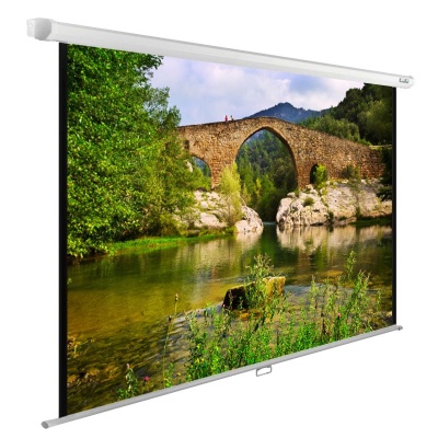 Экран Cactus 108" 165x220см WallExpert CS-PSWE-220x165-WT 4:3 настенно-потолочный рулонный белый