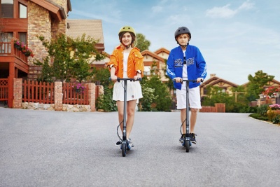 Электросамокат Ninebot KickScooter Zing E10 2550mAh черный