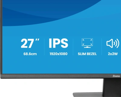 Монитор Iiyama 27" ProLite X2793HSU-B1 черный IPS LED 16:9 HDMI M/M матовая 350cd 178гр/178гр 1920x1080 120Hz DP FHD USB 4кг