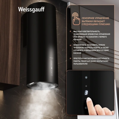 Вытяжка каминная Weissgauff Tubus 90 Black Edition черный управление: кнопочное (1 мотор)
