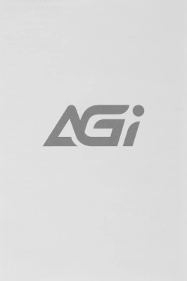 Накопитель SSD AGi PCIe 3.0 x4 512GB AGI512GIMAI298-CB AI298 M.2 2280