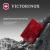 Швейцарская карта Victorinox SwissCard Lite (0.7300.T) красный полупрозрачный коробка подарочная Швейцарская карта Victorinox SwissCard Lite (0.7300.T) красный полупрозрачный коробка подарочная