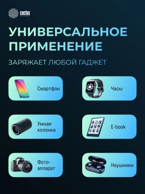 Мобильный аккумулятор Cactus CS-PBFSUD-60000 60000mAh 80W 4.5A USB-A/USB-C черный