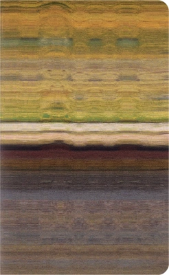 Блокнот Moleskine LIMITED EDITION CAHIER MUSEE D`ORSAY SKCAHL6911S3NL Large 130х210мм обложка картон 120стр. нелинованный мягкая обложка синий/коричневый (2шт)