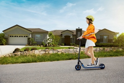 Электросамокат Ninebot KickScooter Zing E10 2550mAh черный