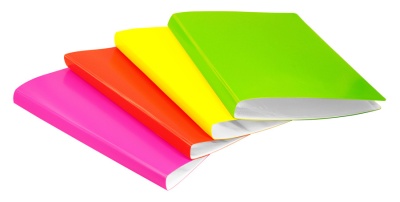 Папка с 30 прозр.вклад. Бюрократ Неон DNE07V30OR A4 пластик 0.7мм оранжевый