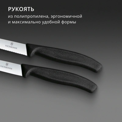 Набор ножей Victorinox Swiss Classic 6.7793.2 компл.:2предм. черный европодвес