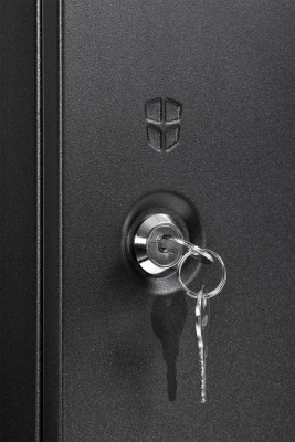 Шкаф коммутационный ЦМО ШРН-Эконом (ШРН-Э-6.500.1-9005) настенный 6U 600x520мм пер.дв.металл 75кг черный 470мм 14.5кг 180град. 345мм IP20 металл