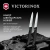 Набор ножей Victorinox Swiss Classic 6.7793.2 компл.:2предм. черный европодвес