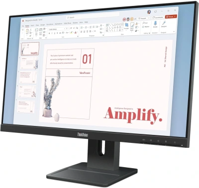 Монитор Lenovo 23.8" ThinkVision E24-40 черный IPS LED 16:9 HDMI M/M матовая HAS Piv 250cd 178гр/178гр 1920x1080 100Hz VGA DP FHD 4.5кг