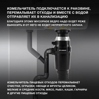 Измельчитель Hyundai HFWD 10390 390Вт черный/черный