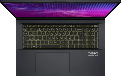 Ноутбук Osio CyberLine C170i-002 Core i5 12600H 16Gb SSD512Gb NVIDIA GeForce RTX4050 6Gb 17.3" IPS FHD (1920x1080) без ОС dk.grey WiFi BT Cam 3410mAh