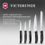 Набор ножей кухон. Victorinox Swiss Classic 6.7133.5G компл.:5предм. черный подар.коробка Набор ножей кухон. Victorinox Swiss Classic 6.7133.5G компл.:5предм. черный подар.коробка