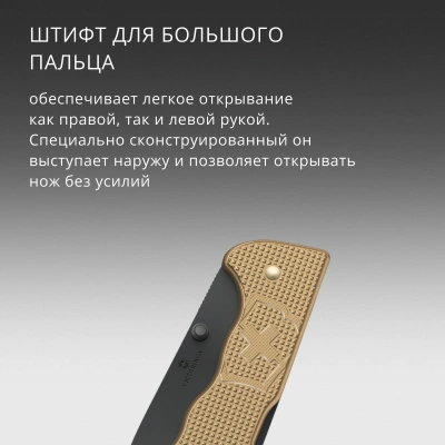 Нож перочинный Victorinox Evoke BS Alox Beige (0.9415.DS249) 136мм 4функц. бежевый подар.коробка