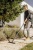 Строительный пылесос Karcher WD 3 S V-19/4/20 (YSY) 1000Вт (уборка: сухая/влажная/выдув/сбор воды) желтый Строительный пылесос Karcher WD 3 S V-19/4/20 (YSY) 1000Вт (уборка: сухая/влажная/выдув/сбор воды) желтый