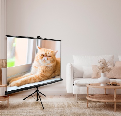 Экран Cactus 71" 127x127см Triscreen CS-PST-127X127 1:1 напольный рулонный черный