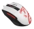 Мышь A4Tech Bloody L65 Max белый/рисунок оптическая 12000dpi USB 6but (L65 MAX NARAKA) Мышь A4Tech Bloody L65 Max белый/рисунок оптическая 12000dpi USB 6but (L65 MAX NARAKA)