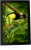 Фоторамка Digma 11" PF-1155 1280x800 черный пластик 16Gb Видео WiFi Фоторамка Digma 11" PF-1155 1280x800 черный пластик 16Gb Видео WiFi