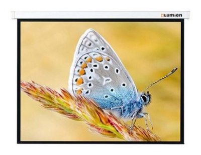 Экран Lumien 146" 229x305см Master Control LMC-100110 4:3 настенно-потолочный рулонный (моторизованный привод)
