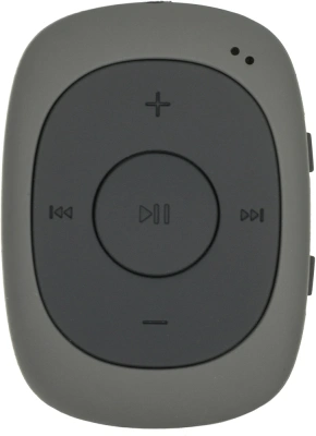 Плеер Flash Digma C2L 4Gb серый/FM/clip