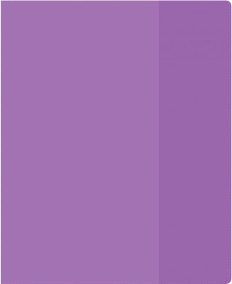 Обложка Silwerhof 2026956 Цветные для тетради (набор 10шт) ПВХ 130мкм матовая прозр. 210x350мм