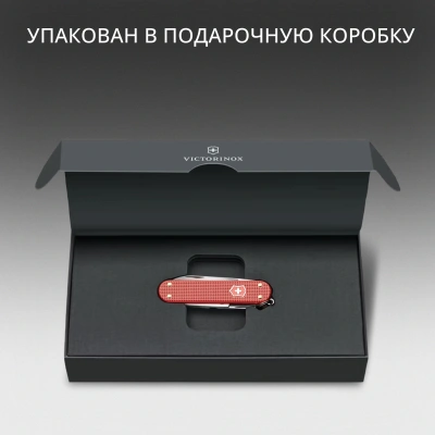 Нож перочинный Victorinox Classic SD Alox LE 2025 Stone Red (0.6221.L25) 58мм 5функц. красный подар.коробка