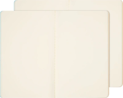 Блокнот Moleskine LIMITED EDITION CAHIER MUSEE D`ORSAY SKCAHL6911S3NL Large 130х210мм обложка картон 120стр. нелинованный мягкая обложка синий/коричневый (2шт)