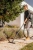 Строительный пылесос Karcher WD 3 V-17/4/20 1000Вт (уборка: сухая/влажная) желтый Строительный пылесос Karcher WD 3 V-17/4/20 1000Вт (уборка: сухая/влажная) желтый