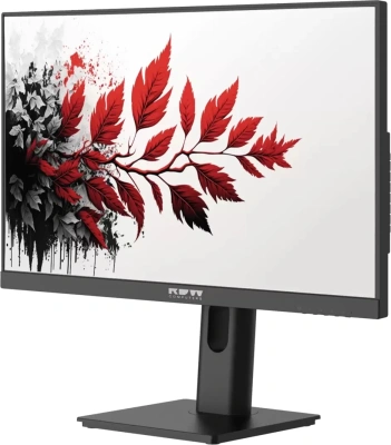 Монитор RDW Computers 27" RDW2701K черный IPS 5ms 16:9 HDMI M/M матовая 1000:1 300cd 178гр/178гр 1920x1080 120Hz VGA DP FHD (RUS)