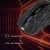 Мышь Оклик 976GW черный оптическая 3200dpi беспров. USB 6but (1431703) Мышь Оклик 976GW черный оптическая 3200dpi беспров. USB 6but (1431703)
