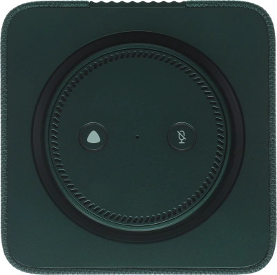 Умная колонка Yandex Станция Макс Zigbee Алиса зеленый 65W 1.0 BT/Wi-Fi 10м (YNDX-00053Z)