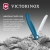 Нож кухонный Victorinox Swiss Classic 6.7832.FC1 стальной универсальный для овощей лезв.110мм серрейт. заточка синий карт.коробка Нож кухонный Victorinox Swiss Classic 6.7832.FC1 стальной универсальный для овощей лезв.110мм серрейт. заточка синий карт.коробка