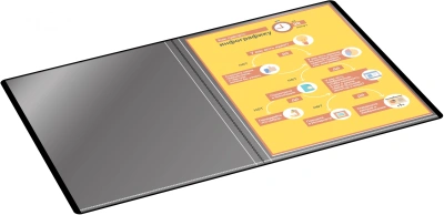 Папка с 10 прозр.вклад. Silwerhof SE-V10BLK A4 пластик 0.5мм черный