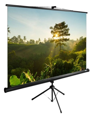 Экран Cactus 111" 200x200см TriExpert CS-PSTE-200x200-BK 1:1 напольный рулонный черный