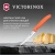 Нож кухонный Victorinox Swiss Classic (6.7709.C1) стальной универсальный для чистки овощей и фруктов лезв.100мм прямая заточка оранжевый Нож кухонный Victorinox Swiss Classic (6.7709.C1) стальной универсальный для чистки овощей и фруктов лезв.100мм прямая заточка оранжевый