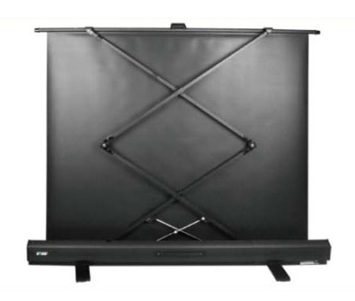 Экран Cactus 79" 120x160см FloorExpert CS-PSFLE-160X120 4:3 напольный рулонный