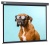 Экран Cactus 120" 149.4x265.7см Wallscreen CS-PSW-149X265-SG 16:9 настенно-потолочный рулонный серый Экран Cactus 120" 149.4x265.7см Wallscreen CS-PSW-149X265-SG 16:9 настенно-потолочный рулонный серый