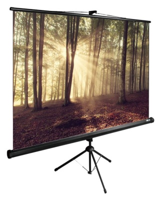 Экран Cactus 89" 135x180см TriExpert CS-PSTE-180x135-BK 4:3 напольный рулонный черный