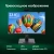Моноблок Digma Pro Vision 23.8" Full HD i7 1255U (1.7) 16Gb SSD512Gb Iris Xe CR Windows 11 Pro Eth WiFi BT 90W клавиатура мышь Cam черный 1920x1080