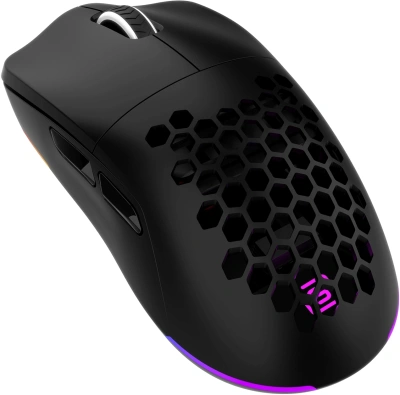 Мышь Оклик 900GMW черный оптическая 26000dpi беспров. BT/Radio USB 6but (1796786)