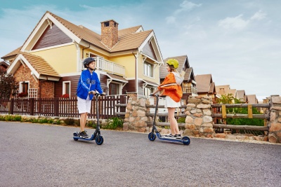 Электросамокат Ninebot KickScooter Zing E10 2550mAh черный
