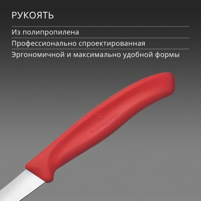Нож кухонный Victorinox Swiss Classic 6.7301.C1 стальной разделочный для чистки овощей и фруктов лезв.60мм прямая заточка красный