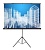 Экран Cactus 84" 104.4x186см Triscreen CS-PST-104x186 16:9 напольный рулонный черный