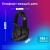 Наушники с микрофоном Оклик HS-L380G ABADDON черный/красный 1.8м мониторные оголовье (1100404) Наушники с микрофоном Оклик HS-L380G ABADDON черный/красный 1.8м мониторные оголовье (1100404)