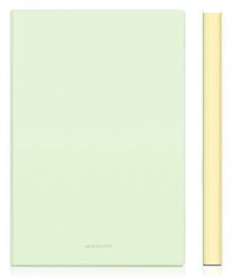 Блокнот Deli EN140LGREEN A5 210х143мм искусст. кожа 96л линейка мягкая обложка зеленый