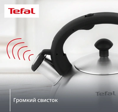 Чайник металлический Tefal Wawe N4210117 2.5л. серебристый (3110602015)