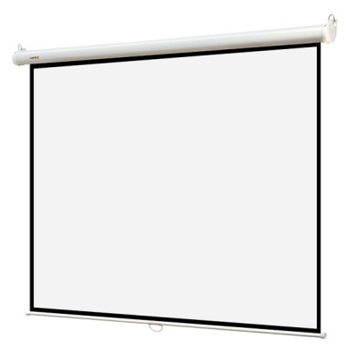 Экран 220x220см Digis Optimal-B DSOB-1105 1:1 настенно-потолочный рулонный