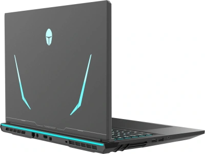 Ноутбук Thunderobot Range 17 G2A Pro 2K Ryzen 7 H255 32Gb SSD1Tb NVIDIA GeForce RTX 5060 8Gb 17.3" IPS QHD (2560x1440) Windows 11 Pro black WiFi BT Cam (JT009X00QRU)