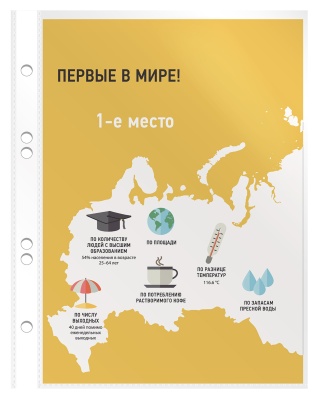 Папка-вкладыш Бюрократ Премиум -013A5 глянцевые A5 30мкм (упак.:100шт)